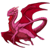 Unnamed dragon