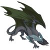 Unnamed dragon