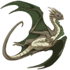 Unnamed dragon