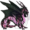 Unnamed dragon