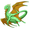 Unnamed dragon