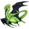 Unnamed dragon