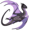 Unnamed dragon