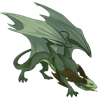 Unnamed dragon