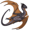 Unnamed dragon