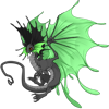 Unnamed dragon