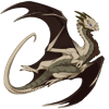 Unnamed dragon