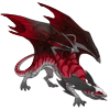 Unnamed dragon