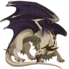 Unnamed dragon