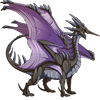 Unnamed dragon