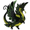 Unnamed dragon