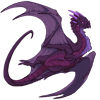 Unnamed dragon