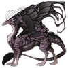 Trace, a Thistle/Black/Black Skydancer dragon