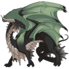 Unnamed dragon