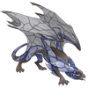 Unnamed dragon