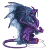 Unnamed dragon