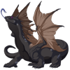 Unnamed dragon