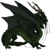 Unnamed dragon