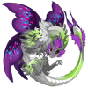 Unnamed dragon