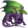 Unnamed dragon