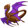 Unnamed dragon