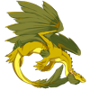 Unnamed dragon