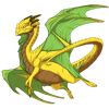 Unnamed dragon