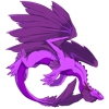 Unnamed dragon