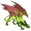 Unnamed dragon