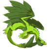 Unnamed dragon