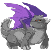 Unnamed dragon