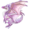 Unnamed dragon