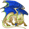 Unnamed dragon