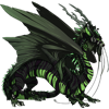 Unnamed dragon