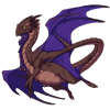 Unnamed dragon