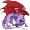 Unnamed dragon