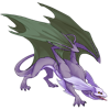 Unnamed dragon