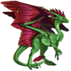 Unnamed dragon