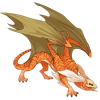 Unnamed dragon