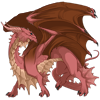 Unnamed dragon