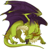 Unnamed dragon