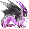 Unnamed dragon