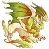 Unnamed dragon