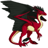 Unnamed dragon