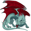 Unnamed dragon