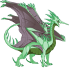 Unnamed dragon