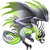 Unnamed dragon