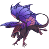 Unnamed dragon