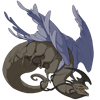 Unnamed dragon