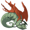 Unnamed dragon